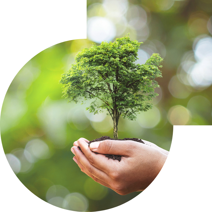 關懷人類、文化、環境與社會